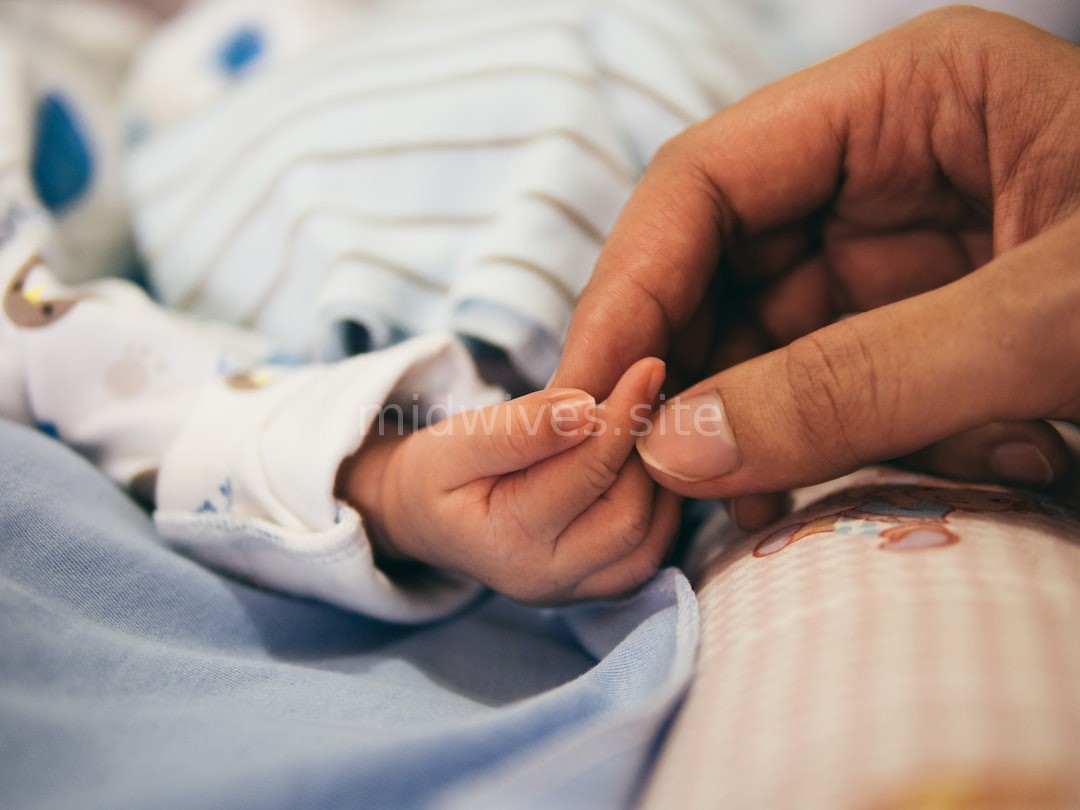 Postpartum Care